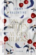 Jenny Valentine: Zwei Seiten eines Augenblicks